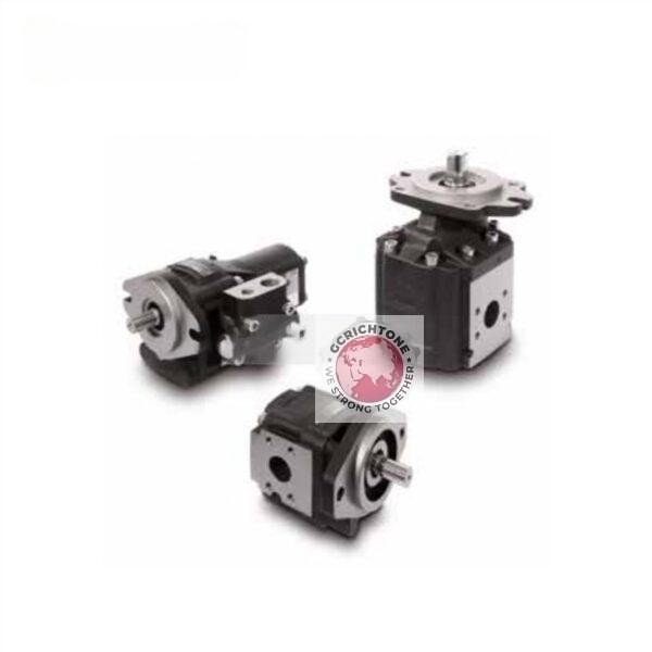 CASAPPA Gear Pump K.25*19 K.25*21 K.25*23